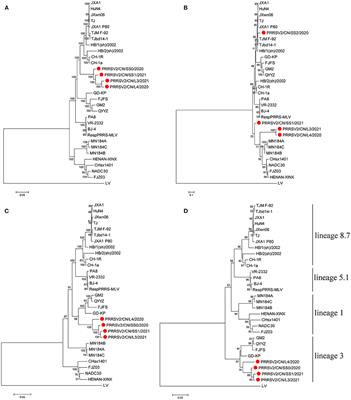 Evolutionary Analysis of Four Recombinant Viruses of the Porcine Reproductive and Respiratory Syndrome Virus From a Pig Farm in China